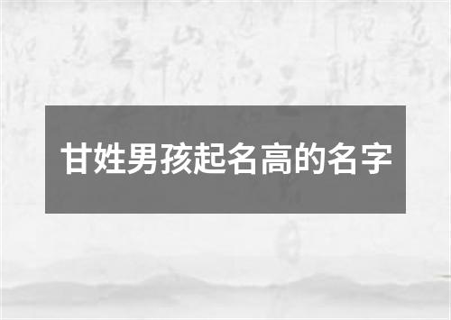 甘姓男孩起名高的名字