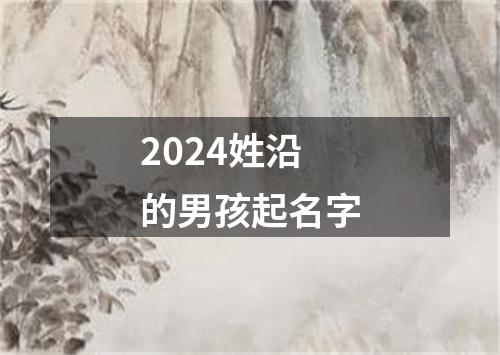 2024姓沿的男孩起名字