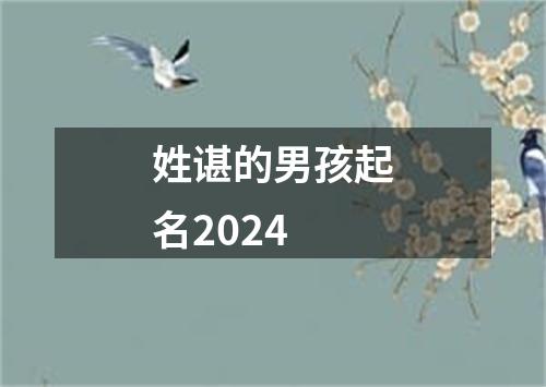 姓谌的男孩起名2024