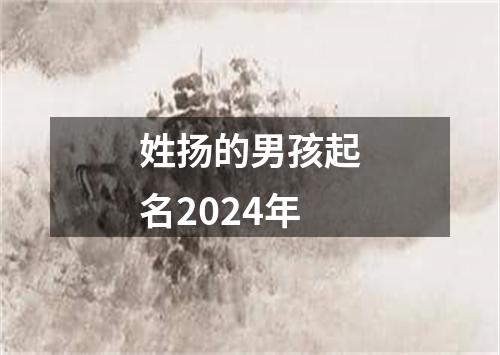 姓扬的男孩起名2024年