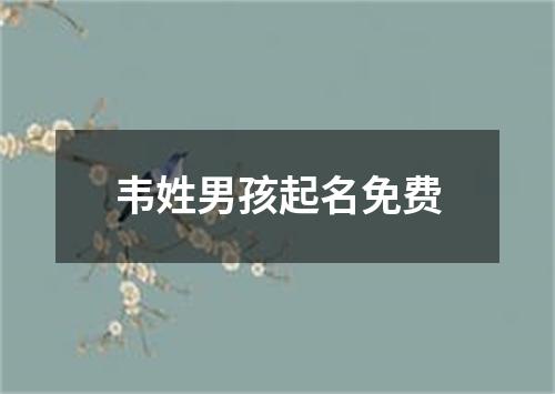 韦姓男孩起名免费