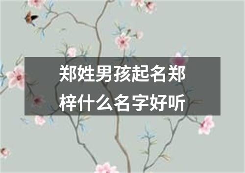 郑姓男孩起名郑梓什么名字好听