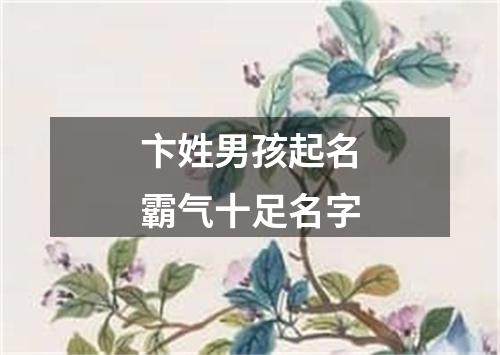 卞姓男孩起名霸气十足名字