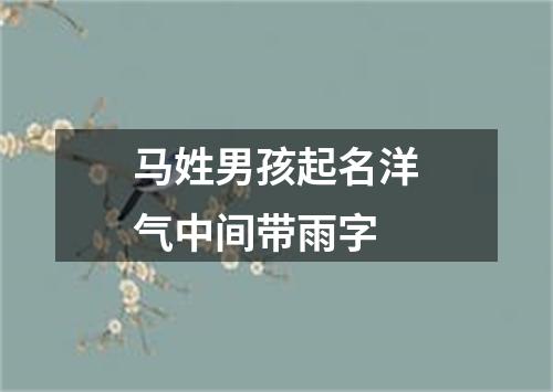 马姓男孩起名洋气中间带雨字