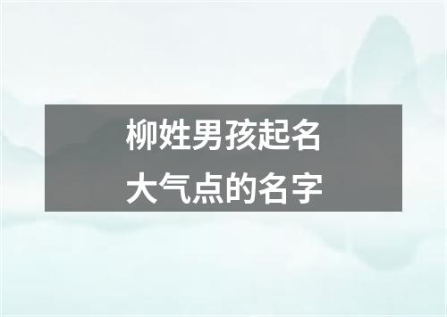 柳姓男孩起名大气点的名字