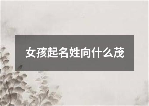 女孩起名姓向什么茂