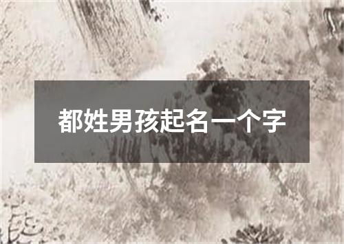 都姓男孩起名一个字