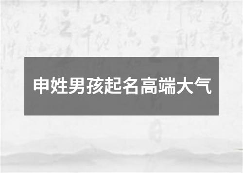 申姓男孩起名高端大气