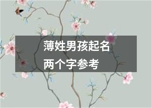 薄姓男孩起名两个字参考