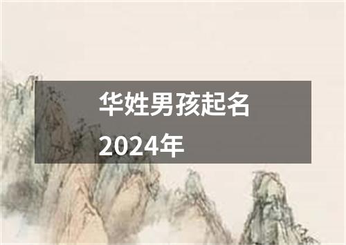 华姓男孩起名2024年