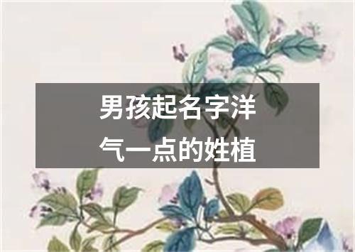 男孩起名字洋气一点的姓植