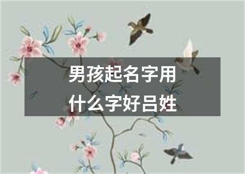 男孩起名字用什么字好吕姓