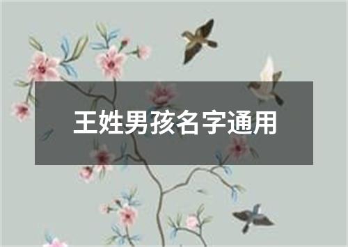 王姓男孩名字通用