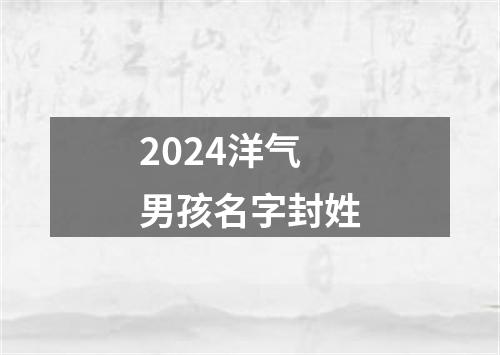 2024洋气男孩名字封姓