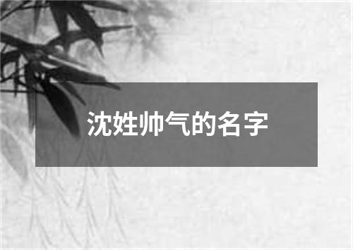 沈姓帅气的名字