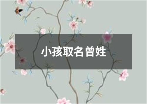 小孩取名曾姓