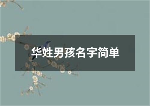 华姓男孩名字简单