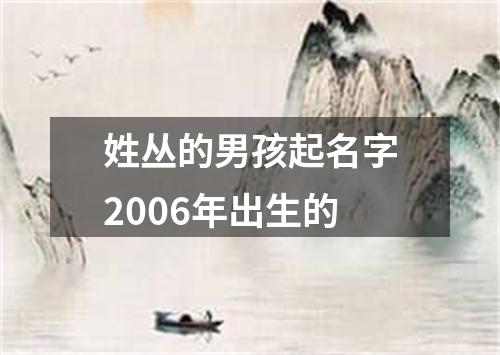 姓丛的男孩起名字2006年出生的