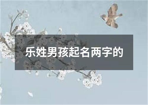 乐姓男孩起名两字的