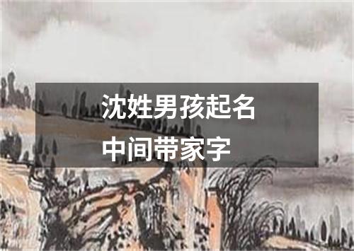 沈姓男孩起名中间带家字