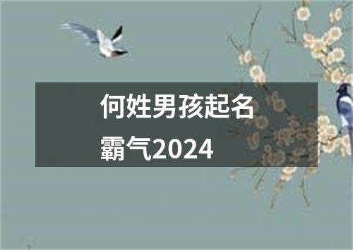 何姓男孩起名霸气2024