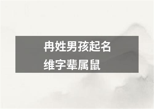 冉姓男孩起名维字辈属鼠