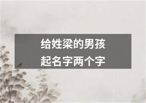 给姓梁的男孩起名字两个字