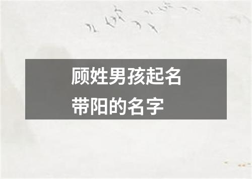 顾姓男孩起名带阳的名字