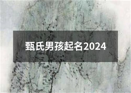 甄氏男孩起名2024