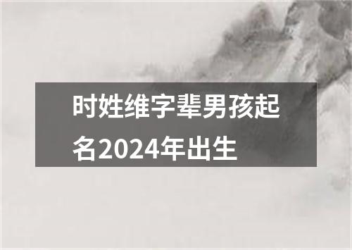 时姓维字辈男孩起名2024年出生