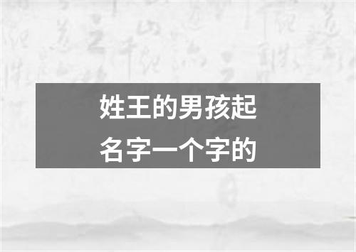 姓王的男孩起名字一个字的