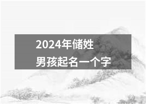 2024年储姓男孩起名一个字