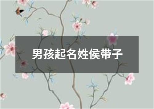 男孩起名姓侯带子