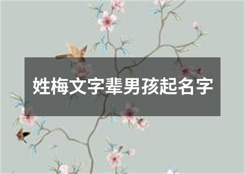 姓梅文字辈男孩起名字