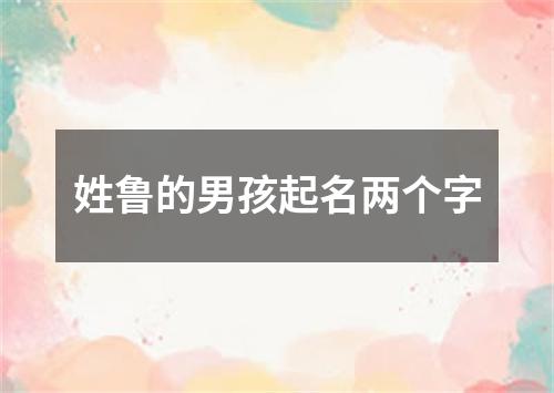 姓鲁的男孩起名两个字