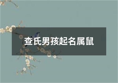 查氏男孩起名属鼠