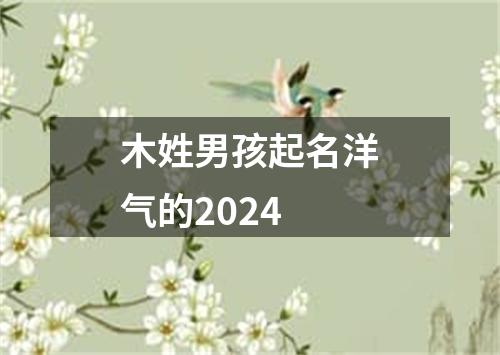 木姓男孩起名洋气的2024