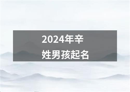 2024年辛姓男孩起名