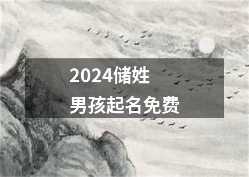 2024储姓男孩起名免费