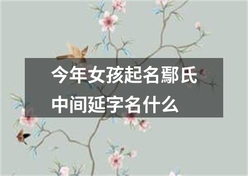 今年女孩起名鄢氏中间延字名什么