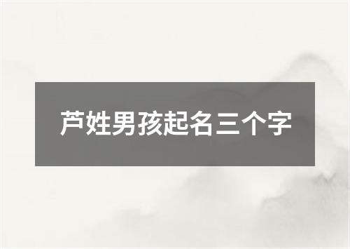 芦姓男孩起名三个字