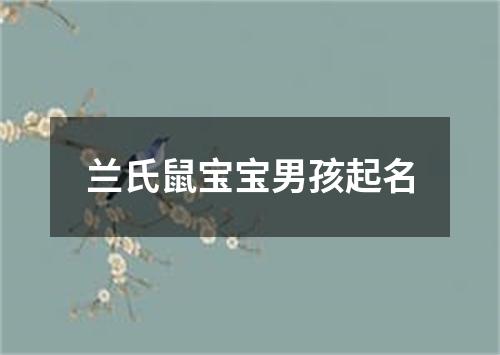 兰氏鼠宝宝男孩起名