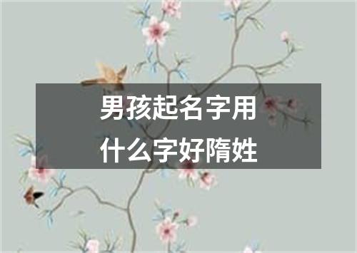 男孩起名字用什么字好隋姓