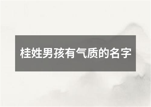 桂姓男孩有气质的名字