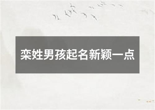 栾姓男孩起名新颖一点