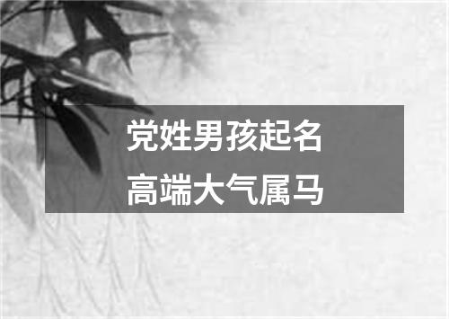 党姓男孩起名高端大气属马