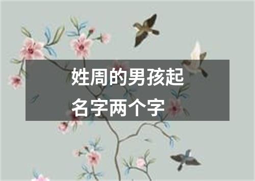 姓周的男孩起名字两个字