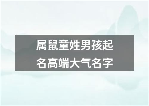 属鼠童姓男孩起名高端大气名字