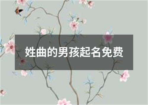 姓曲的男孩起名免费