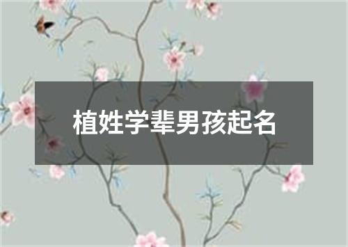 植姓学辈男孩起名